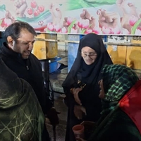 تصویر گالری